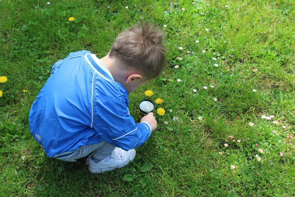 child-7216621_960_720.jpg
