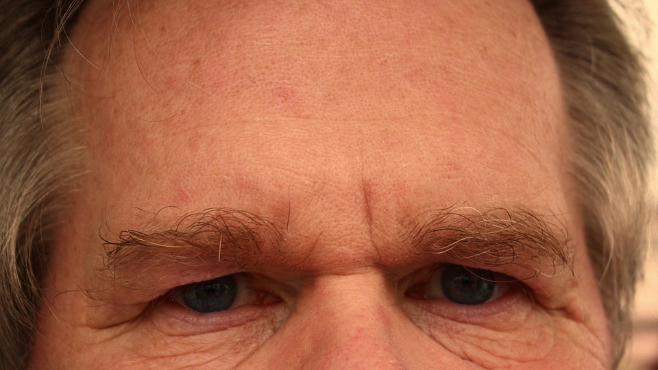 forehead-65059_960_720.jpg