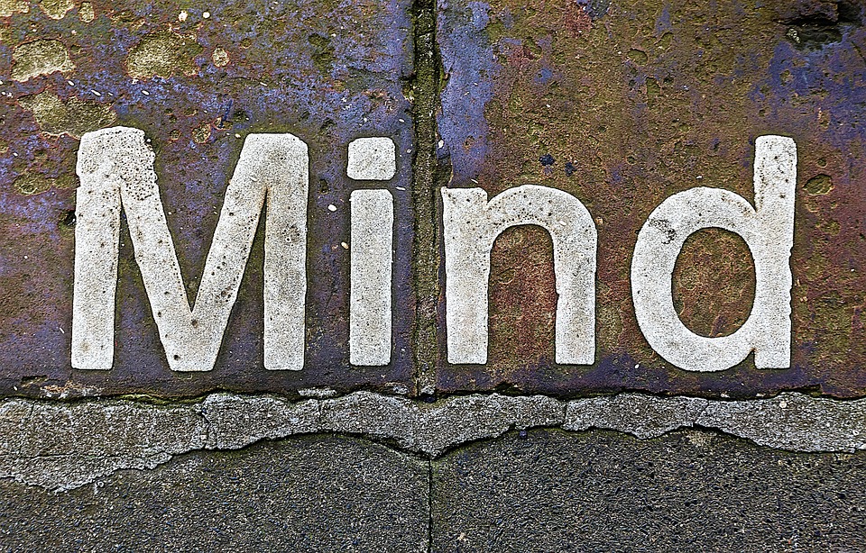 mind-4548571_960_720.jpg
