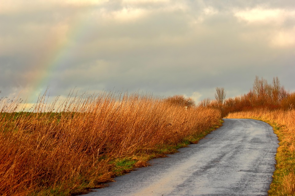 rainbow-2278102_960_720.jpg