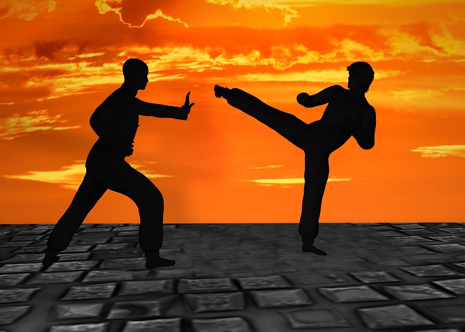 martial-arts-2544677_960_720.jpg