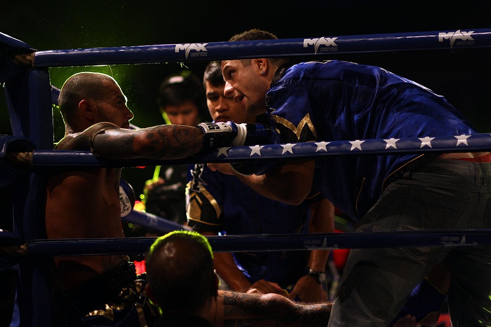 muay-thai-7028711_960_720.jpg