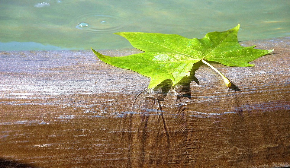 water-2698737_960_720.jpg